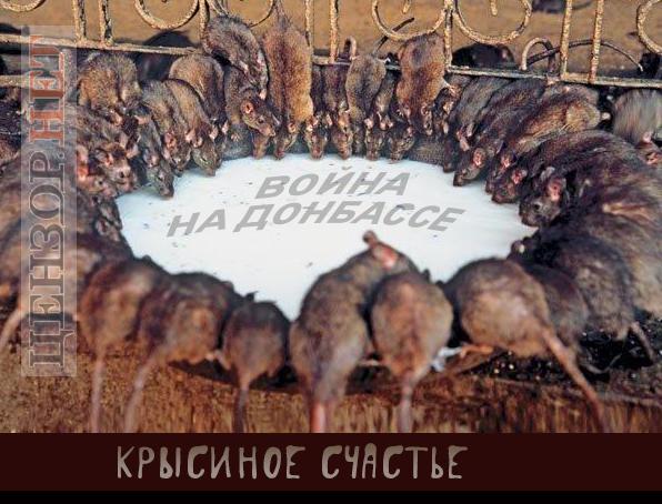 россия