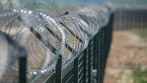 Россия переместила еще одну батальонную группу к украинской границе, - Полторак