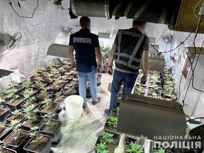 На Львівщині судитимуть злочинну групу, яка щомісяця збувала канабіс на 2 млн грн