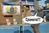 Достойная оценка