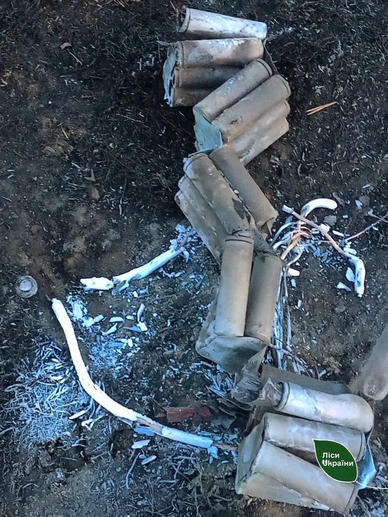 Ворожа диверсія спричинила масштабну пожежу в Шевченківському лісництві на Київщині