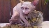 путин