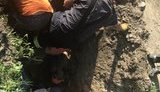 Во время выполнения ремонтных работ двоих рабочих "Киевоблэнерго" засыпало землей, один из них погиб, - ГСЧС. ФОТОрепортаж