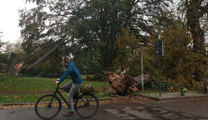 В Бельгии в результате шторма "Киаран" погиб 5-летний мальчик из Украины, на него упали ветки деревьев, - СМИ