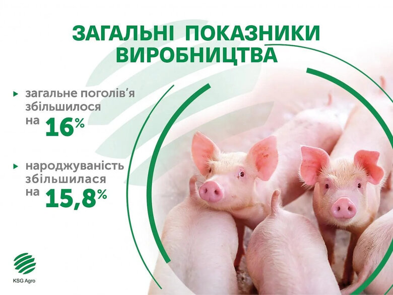 В Україні два фронти: Сергій Касьянов розповів про стратегію незламності для бізнесу 02