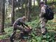 WWF подав скаргу до Федеральної служби лісів через імпорт нелегальної деревини з України
