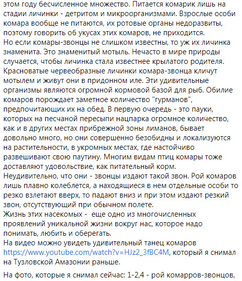 На Одесчине после ливней и жары - нашествие комаров 06