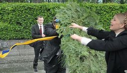 Мелкая пакость от Тимошенко