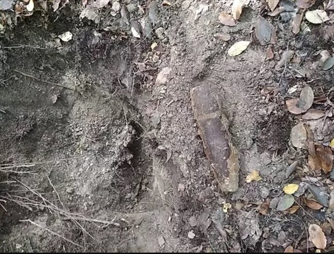 Мешканців і гостей Києва просять не гуляти на Лисій горі: знайдено багато боєприпасів 04