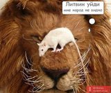 Надоедливый Литвин