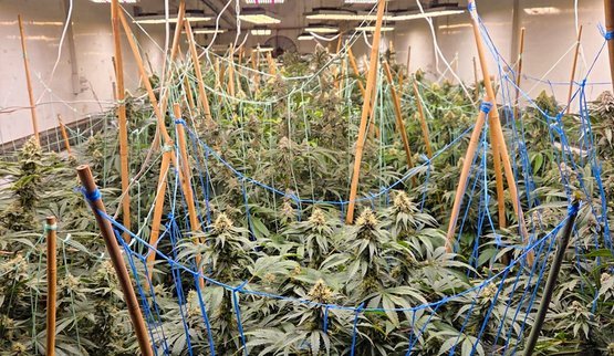 В Черкасской области Нацполиция прекратила деятельность наркоторговцев