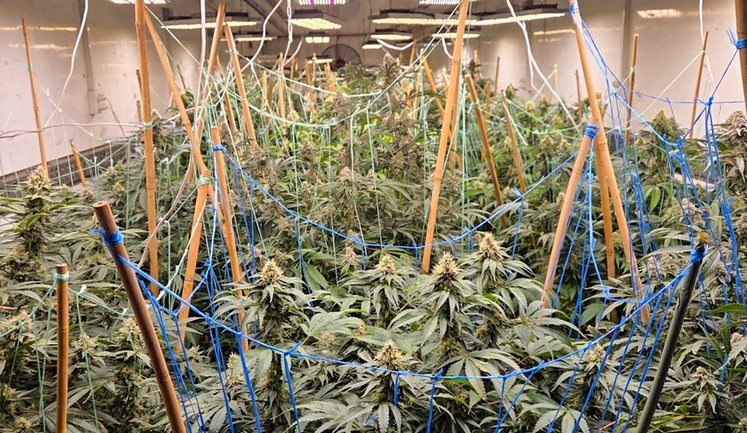 Промышленные объемы и современные технологии: на Черкасчине Нацполиция прекратила деятельность наркоторговцев. ВИДЕО+ФОТОрепортаж