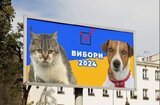 Зробіть правильний вибір
