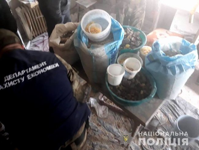 Підпільний цех з обробки бурштину викрили на Рівненщині, вилучено 100 кг каменю 03 Підпільний цех з обробки бурштину викрили на Рівненщині, вилучено 100 кг каменю 03