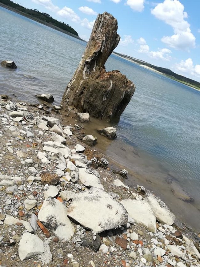 Блогер показал, что осталось от Симферопольского водохранилища: Лужица 04