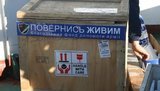 вернись живым