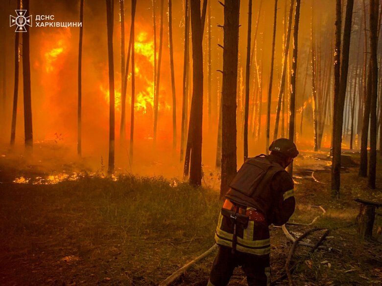 На Харківщині через обстріли РФ горів ліс