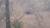 Российские наемники выложили съемку бойцов ВСУ на позициях. ВИДЕО