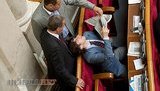 "Брак по расчету": "регионалы" в Раде показали как "сообразить на троих". ФОТОрепортаж