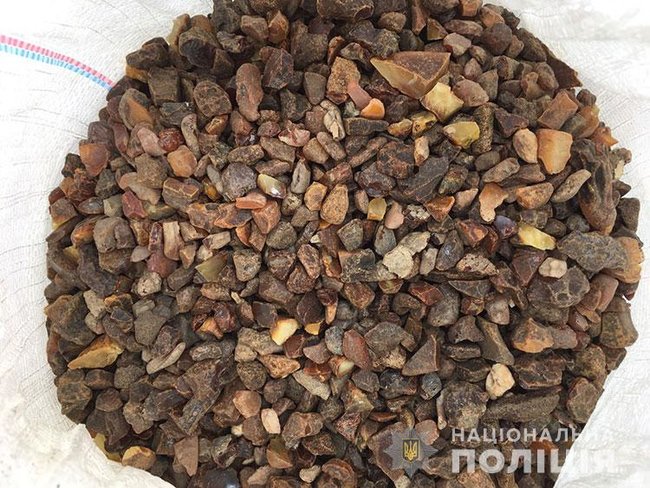 Правоохоронці перешкодили вивезенню за кордон під виглядом пелет понад тисячі кілограмів бурштину 01