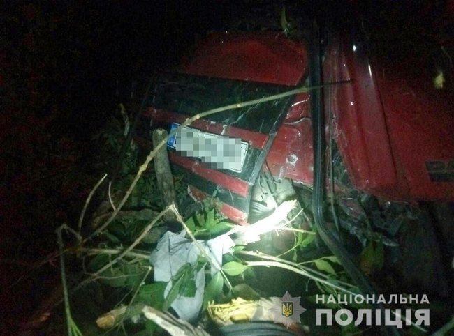 Грузовик врезался в дерево на Николаевщине, водитель погиб, - полиция 01