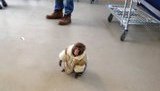 В канадский магазин пришла обезьяна в пальто. ФОТО