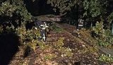 В Івано-Франківську через зливи і штормовий вітер підтопило вулиці й повалило дерева, - ДСНС. ФОТО