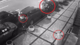 задержание угон автомобили