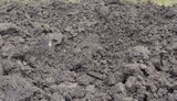 дніпропетровщина