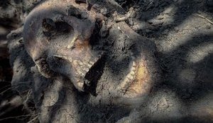 "Заколоті багнетами, проколоті шаблями": на Житомирщині знайшли масове поховання 170 жертв більшовицького терору, майже 120 з них - діти. ФОТОрепортаж