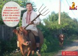 Выбери меня!