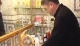 В квартире Мельниченко такой же золотой лебедь-смеситель, как у Януковича в Межигорье. + ВИДЕО