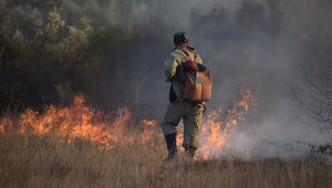 В Украине объявлен самый высокий уровень пожарной опасности: Спасатели призывают граждан не провоцировать пожары в природных экосистемах