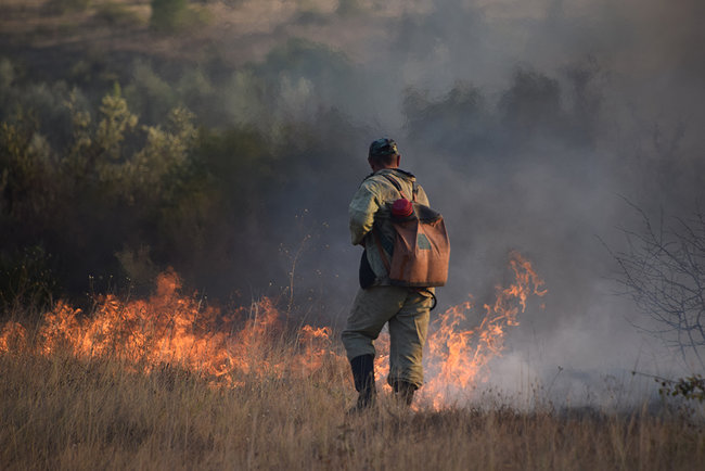 Упродовж минулого тижня під час пожеж в Україні загинуло 19 осіб, на водоймах - 15, - ДСНС 03