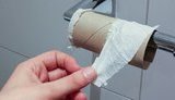 Свиньи в Китае заболели коронавирусом SADS-CoV, вызывающим синдром острой диареи: он опасен и для человека, - американские ученые