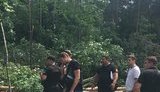 Невідомий забудовник під прикриттям тітушок вирізав частину Гостомельського лісу на Київщині. Поліція і прокуратура звернулися до суду. ВІДЕО+ФОТО