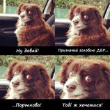 Ну, давай...