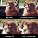 Ну, давай...