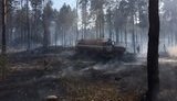 На Херсонщине горит 5 гектаров леса, - ГСЧС. ФОТО