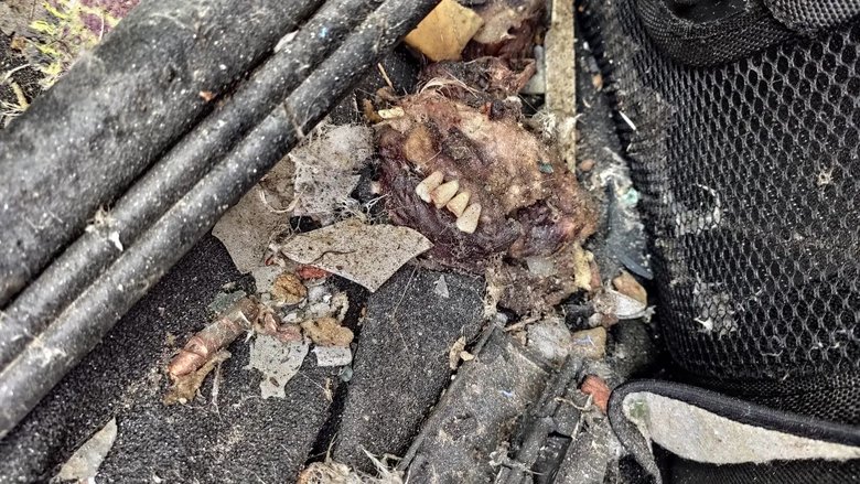 Різня в Бучі: машину прошило кулями, ніби вона паперова, жінці відірвало голову 07