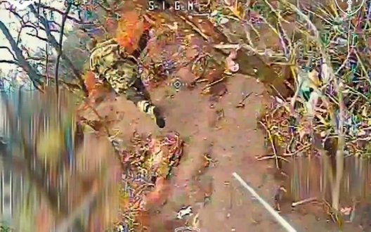 Пілоти батальйону SIGNUM двома FPV-дронами уразили російського пілота БпЛА. ВIДЕО