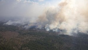 Ситуация с пожарами в зоне ЧАЭС и на Житомирщине нормализуется: локализованы еще два очага возгорания, - ГСЧС