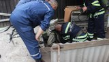 черкассы коллектор гибель