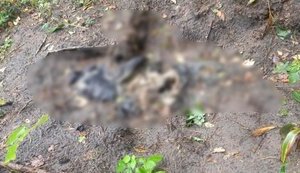 Тела еще двух жертв российской оккупации обнаружили в районе Ворзеля