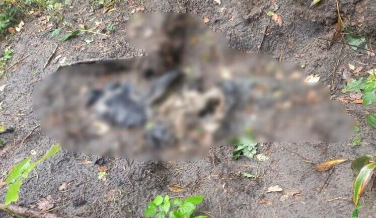 Тела еще двух жертв российской оккупации обнаружили в районе Ворзеля