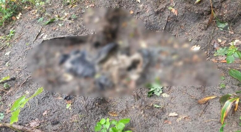 Тела еще двух жертв российской оккупации обнаружили в районе Ворзеля 01