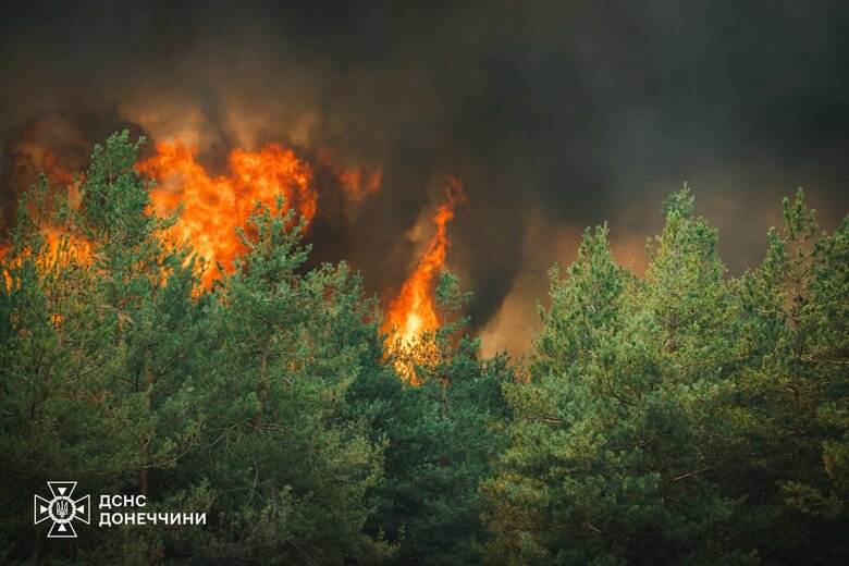Лесной пожар в Донецкой области 3 августа
