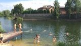 стрельба