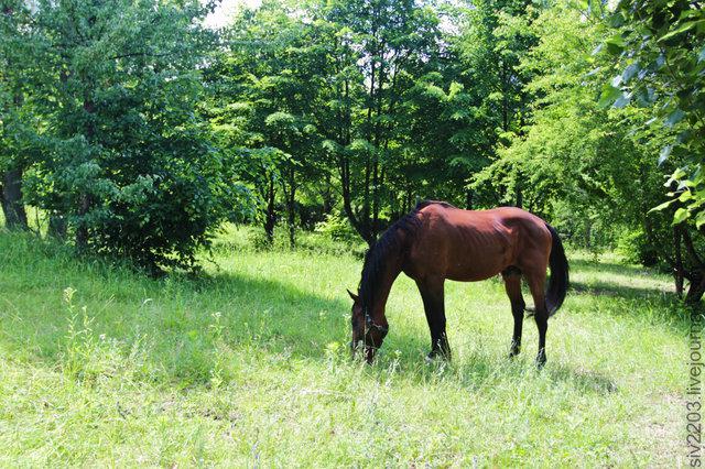 Цензор.НЕТ Изображение