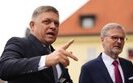 фіцо,фіало